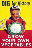 One of the most memorable campaigns during World War Two, was the 'Dig for Victory' campaign. Any piece of land that could be turned over to the use of growing fruit and vegetables was made use of.<br/><br/>

Even those who hadn’t considered their fingers to be green before the war, picked up their spades and gave veggie gardening a go. Everyone was offered help and guidance from the Ministry of Agriculture, to get growing.